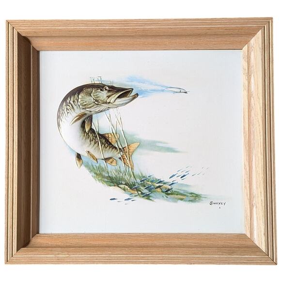 Fred Sweney Embossed Fish Art Print Professionally Framed